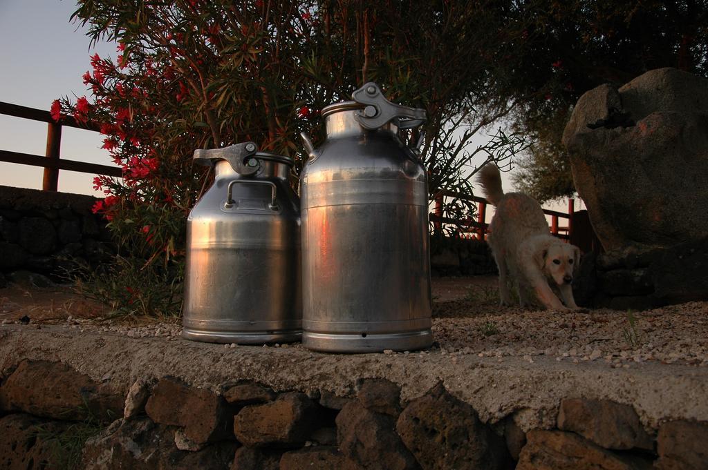 Agriturismo Codula Fuili Кала Гононе Екстериор снимка