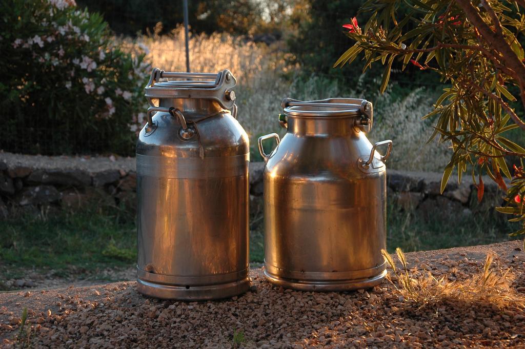 Agriturismo Codula Fuili Кала Гононе Екстериор снимка