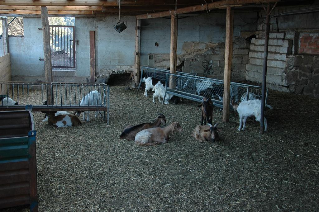Agriturismo Codula Fuili Кала Гононе Екстериор снимка