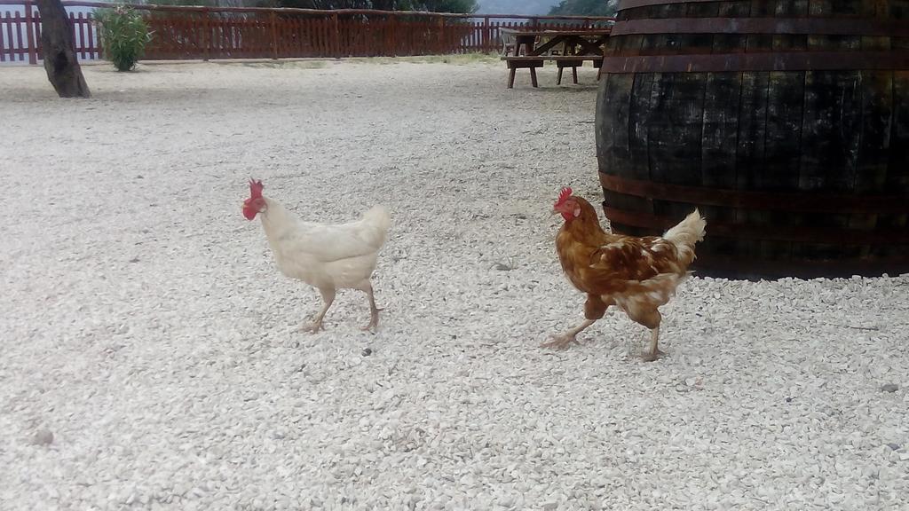 Agriturismo Codula Fuili Кала Гононе Екстериор снимка